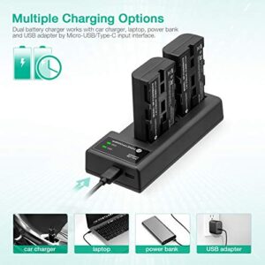 FirstPower NP-F550 Battery 2-Pack and USB Dual Slot Charger Compatible with Sony NP F570, F550, F530, F970, F960, F770, F750, F330, CCD-SC55, TR516, TR716, TR818, TR910, TR917