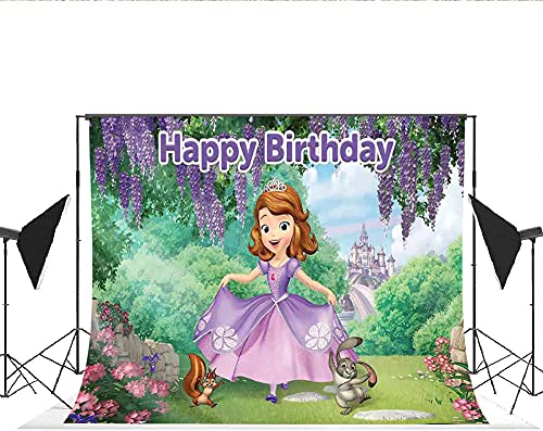 Dawei Sofia The First Backdrop | Birthday Party Background Supplies | Banner Decorations | Photography Background | Baby Shower | (5X3ft)