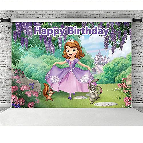 Dawei Sofia The First Backdrop | Birthday Party Background Supplies | Banner Decorations | Photography Background | Baby Shower | (5X3ft)