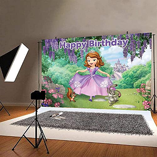 Dawei Sofia The First Backdrop | Birthday Party Background Supplies | Banner Decorations | Photography Background | Baby Shower | (5X3ft)