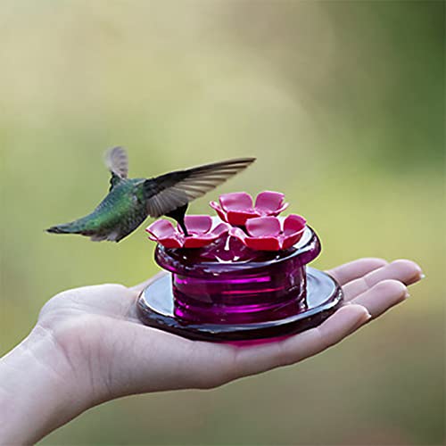 Bird Feeder Feeder Hummingbird Drinking Water Handheld Water Feeder New P-roduct Garden