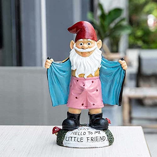 Jy.Cozy Funny Garden Gnome Statues - Resin Handmade Gnome Figurines, Indoor Outdoor Naughty Gnome Decorations for Home Patio Yard Lawn Porch, Ornament Gift