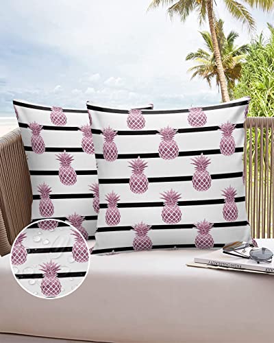 Outdoor Waterproof Throw Pillow Covers Pink Pineapple Lumbar Pillowcases Black Stripe Decorative Outdoor Pillows Cushion Case Patio Pillows for Sofa Couch Bed Garden 18 x 18 Inches