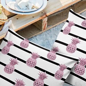 Outdoor Waterproof Throw Pillow Covers Pink Pineapple Lumbar Pillowcases Black Stripe Decorative Outdoor Pillows Cushion Case Patio Pillows for Sofa Couch Bed Garden 18 x 18 Inches