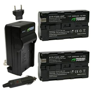 wasabi power battery (2-pack) and charger for sony np-f330, np-f530, np-f550, np-f570 (l series) and cn-160, cn-216, cn126 series & atomos ninja v, shinobi, shogun 7, bmpcc 6k pro and more