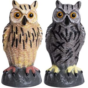 galashield owl decoys to scare birds away | plastic owls to scare birds away | owl statue for garden & outdoors [set of 2]