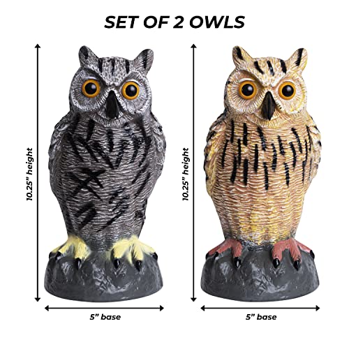 Galashield Owl Decoys to Scare Birds Away | Plastic Owls to Scare Birds Away | Owl Statue for Garden & Outdoors [Set of 2]