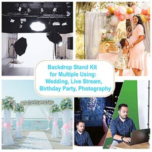 Backdrop Stand 6.5x6.5ft/2x2m, BDDFOTO Photo Video Background Stand Support System for Party with Carring Bag
