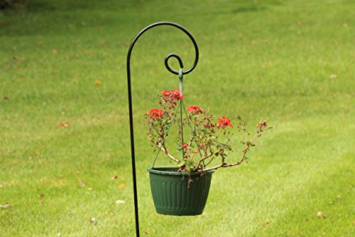 Ashman Shepherd Hook 65 Inch Curled (2 Pack), 1/2 Black Inch Diameter, Solid Metal for Hanging Plant Bird Feeders, Mason Jars, Flower Basket, Christmas Lights, Lanterns, Garden Stakes, and Weddings