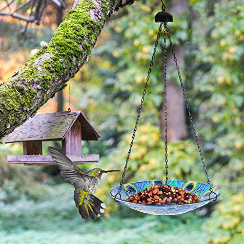 VCUTEKA Bird Bath Hanging for Outdoor Glass Small Bird Feeder Bowl Garden Decoration 11 Inch Peacock (Peacock)