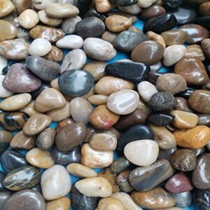 river stones, plants, gardens, landscapes, succulents, highly polished decorative pebbles in shapes and sizes from 1-3 inches. (18lb, 1)