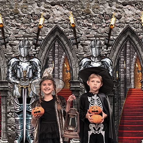 Medieval Knight Party Photography Background Medieval Theme Plastic Backdrop Halloween Knight Castle Entrance Background Photo Prop Tablecloths for Halloween Birthday Party Decor, 108 x 54 Inch