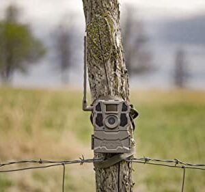 TACTACAM Reveal X Gen 2.0 LTE Cellular Trail Camera AT&T and Verizon, HD Video, HD Photo, Low Glow IR LED Flash (TA-TC-XG2) for Hunting, Security, Surveillance Gen 2 (3) Gen 2.0 + Solar Combo