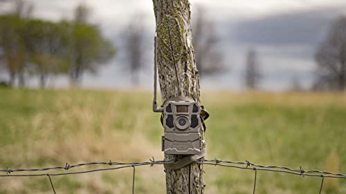 TACTACAM Reveal X Gen 2.0 LTE Cellular Trail Camera AT&T and Verizon, HD Video, HD Photo, Low Glow IR LED Flash (TA-TC-XG2) for Hunting, Security, Surveillance Gen 2 (3) Gen 2.0 + Solar Combo