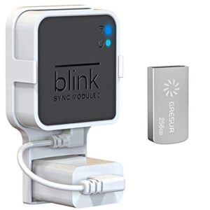 256gb blink usb flash drive for local video storage with the blink sync module 2 mount (blink add-on sync module 2 is not included)…