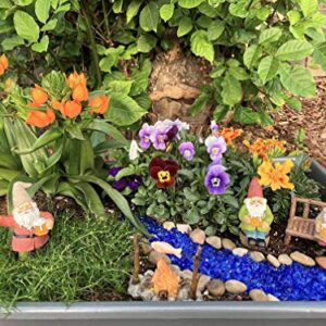 GlitZGlam Happy Gnomes Beer Drinking Buddies! - 5-Piece Garden Gnome Set for The Miniature Fairy Garden