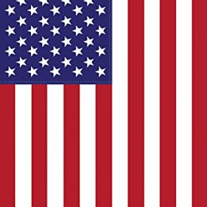 Toland Home Garden 111266 USA American Flag 12x18 Inch Double Sided American Garden Flag for Outdoor House Patriotic Flag Yard Decoration