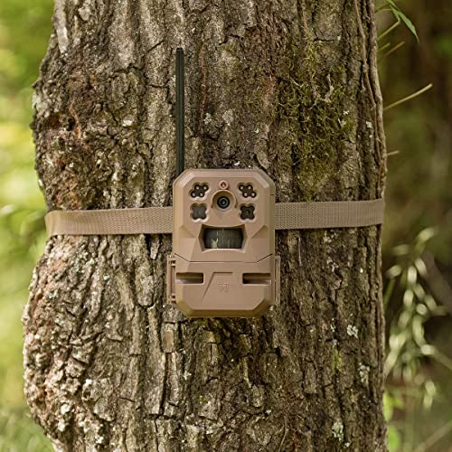 Moultrie Mobile Edge Cellular Trail Camera 2-Pack,Brown