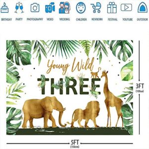 Ticuenicoa Young Wild Three 3rd Birthday Backdrop Jungle Safari Animals Background for Photography Tropical Leaves Backdrops Third Birthday Party Decorations 3 Years Old Photo Booth Props 5x3ft