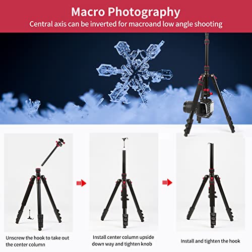 2023 New Camera Tripod, Aluminum Travel Tripod for Camera, DSLR Camema Tripod, Compact Professional Camera Tripod Monopod with 360 Panorama Ball Head, 1/4 QR Plate, Carry Bag