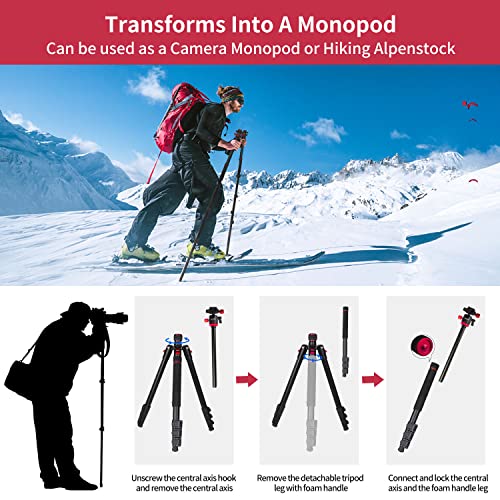 2023 New Camera Tripod, Aluminum Travel Tripod for Camera, DSLR Camema Tripod, Compact Professional Camera Tripod Monopod with 360 Panorama Ball Head, 1/4 QR Plate, Carry Bag