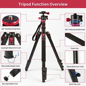 2023 New Camera Tripod, Aluminum Travel Tripod for Camera, DSLR Camema Tripod, Compact Professional Camera Tripod Monopod with 360 Panorama Ball Head, 1/4 QR Plate, Carry Bag