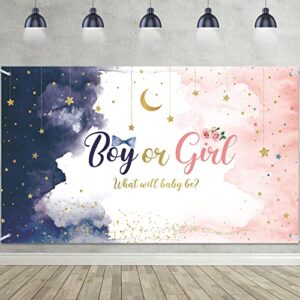 watercolor gender reveal decorations backdrop banner, blue pink boy or girl what will baby be decoration twinkle little star gender reveal photography background for party supplies 72.8 x 43.3 inch