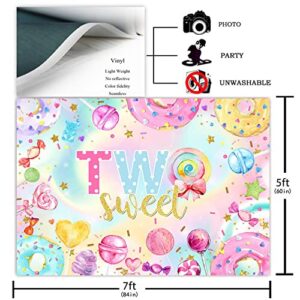 Avezano Two Sweet Donut Birthday Backdrop Sweet Candy Second Birthday Party Photography Background Blue Pink Gold Girl Happy 2nd Birthday Donut Theme Party Decoration Photoshoot Backdrops (7x5ft)