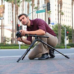 Vanguard Alta Pro 2+ 263AB 100 Aluminum Tripod with Alta BH-100 Ball Head and Multi-Angle Center Column for Sony, Nikon, Canon DSLR Cameras