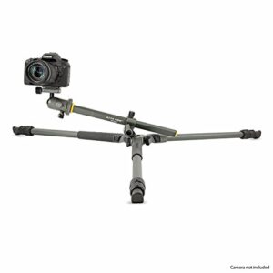 Vanguard Alta Pro 2+ 263AB 100 Aluminum Tripod with Alta BH-100 Ball Head and Multi-Angle Center Column for Sony, Nikon, Canon DSLR Cameras