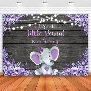 Avezano Purple Elephant Baby Shower Backdrop Rustic Lavender Floral Little Elephant Baby Shower Background A Sweet Little Peanut is on The Way Banner Decorations (7x5)