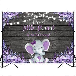 Avezano Purple Elephant Baby Shower Backdrop Rustic Lavender Floral Little Elephant Baby Shower Background A Sweet Little Peanut is on The Way Banner Decorations (7x5)