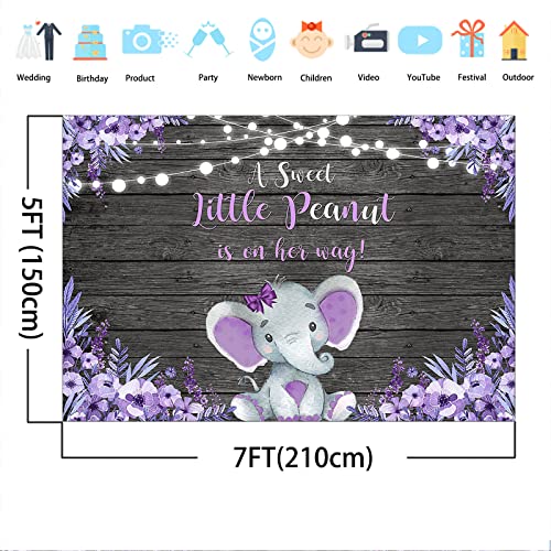 Avezano Purple Elephant Baby Shower Backdrop Rustic Lavender Floral Little Elephant Baby Shower Background A Sweet Little Peanut is on The Way Banner Decorations (7x5)