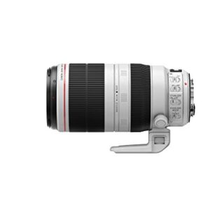 Canon EF 100-400mm f/4.5-5.6L is II USM Lens, Lens Only