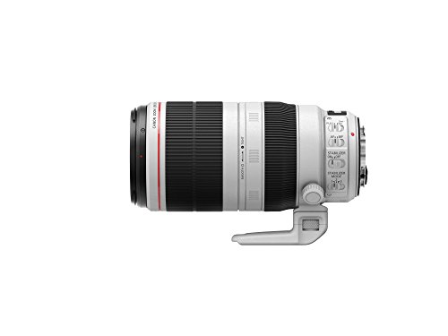 Canon EF 100-400mm f/4.5-5.6L is II USM Lens, Lens Only