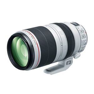 Canon EF 100-400mm f/4.5-5.6L is II USM Lens, Lens Only