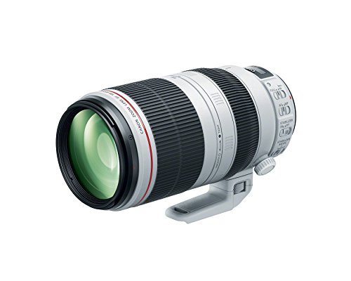 Canon EF 100-400mm f/4.5-5.6L is II USM Lens, Lens Only