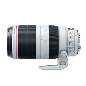 Canon EF 100-400mm f/4.5-5.6L is II USM Lens, Lens Only