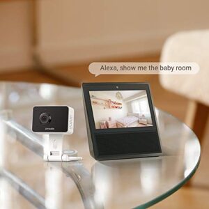 Zmodo Mini Pro 1080p Indoor Home Security Camera Wireless Baby Monitor Pet Cam Nanny Camera Two-Way Audio, Night Vision, Motion Detection Work with Alexa