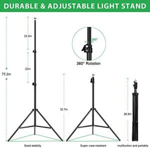 Hpusn Adjustable Backdrop Stand Kit 10ft: Photo Video Studio for Wedding Party Stage Decoration, Background Support System Kit for Photography Studio with Clamp, Sand Bag, Carry Bag