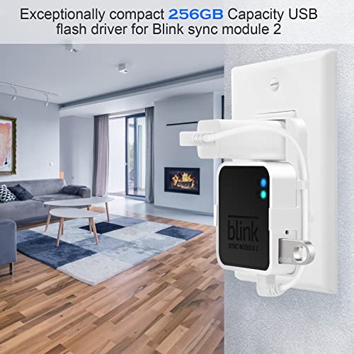 256GB USB Flash Drive for Local Video Storage with Outlet Mount for Blink Sync Module 2,Short Cable Save Space and Easy Move Mount Bracket Holder for Blink Outdoor Indoor Home Security Camera