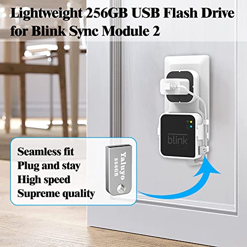 256GB USB Flash Drive and Blink Sync Module 2 Mount, Save Space and Easy Mount Bracket for Blink Outdoor Indoor Security Camera (Blink Sync Module 2 is NOT Included)