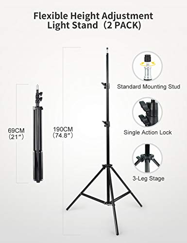 RALENO 2 Packs LED Video Light and 75inches Stand Lighting Kit, CRI 95+ Photography Lighting with 8000mAh Built-in Battery & LCD Display, Studio Lights for TikTok, YouTube, Live Streaming, Videography