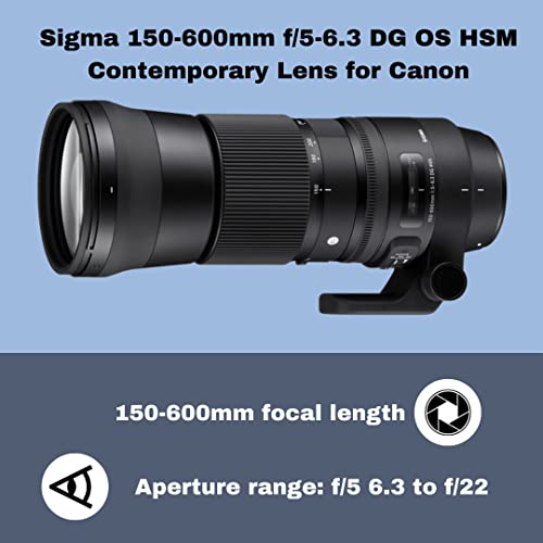 Sigma 150-600mm 5-6.3 Contemporary DG OS HSM Lens for Canon DSLR Cameras USB Dock and Two 64GB SD Card Bundle (7 Items)