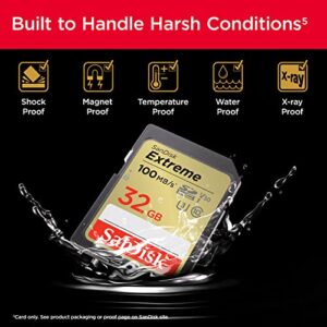 SanDisk 32GB Extreme SDHC UHS-I Memory Card - C10, U3, V30, 4K, UHD, SD Card - SDSDXVT-032G-GNCIN