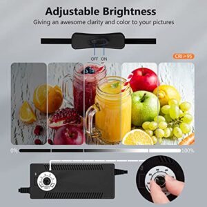 Photo Studio Light Box for Photography: Takerers 32x32 Inch 210 LED Large Lightbox for Product with 3 Stepless Dimming Light Panel, Professional Photo Background Shooting Tent with 5 Color Backdrops