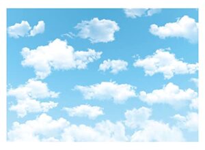 allenjoy 7x5ft vinyl blue sky white cloud backdrop – not fabric – ideal for newborn, spring, kids, children, aviator, birthday party, baby shower, world travel background