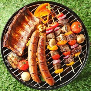 GEEKLLS Charcoal grills Charcoal BBQ Grill Outdoor Round BBQ Grill Backyard Barbecue Grill Garden Picnic Cooking Tools