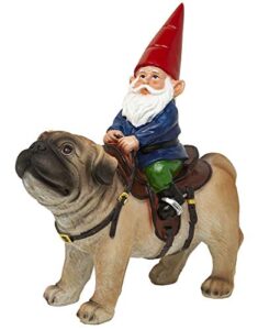 funny guy mugs garden gnome statue – gnome riding a pug – indoor/outdoor garden gnome sculpture for patio, yard or lawn