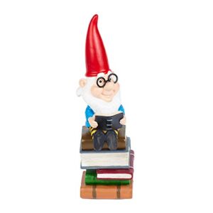 dawn & claire gnorbert the gnerdy gnome a garden gnome with a nose for the books! (mini – 6.3″)